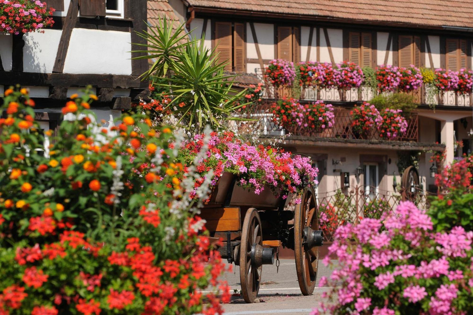 Jeanne Familial - Calme - Parking Holiday home Ebersheim